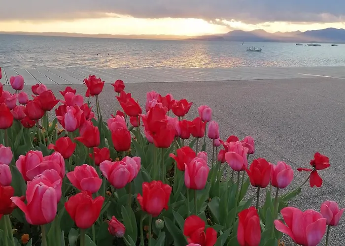 Daire La Casa Di Marzia *